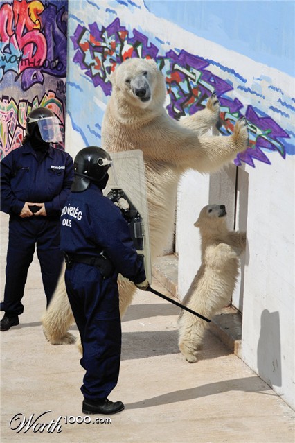 Photoshop Design by herta28