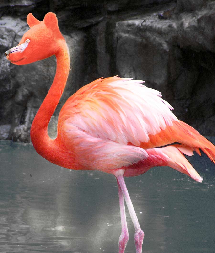 Photoshop-Design von blu0range für DesignCrowd (Community Contests) | Design #9000922