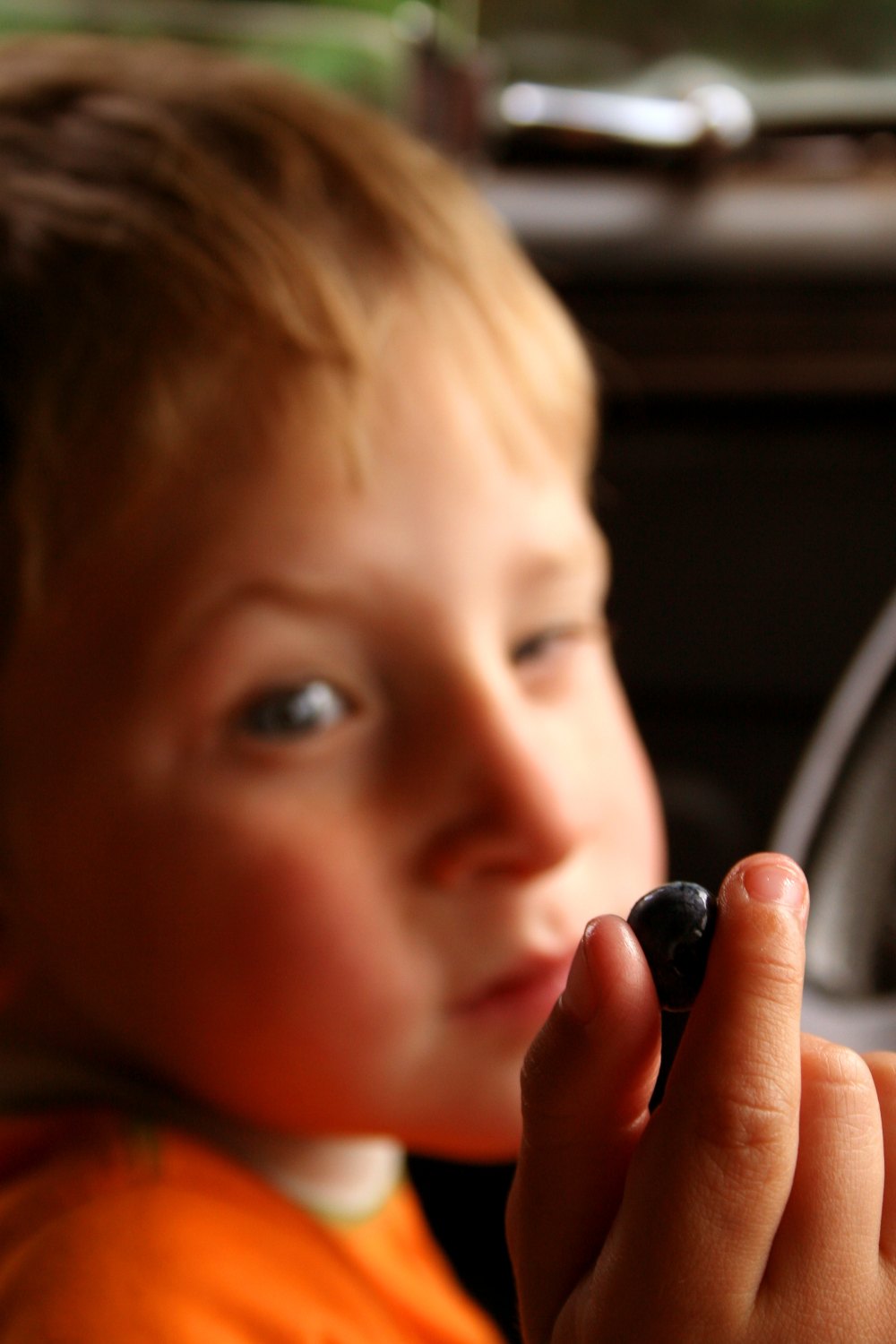 Photography by DaftGretel for DesignCrowd (Community Contests) | Design #9003388