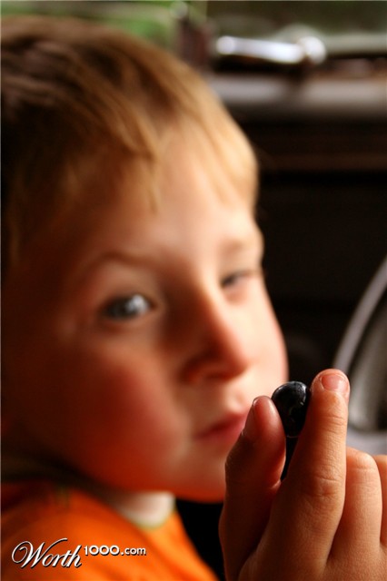 Photography by DaftGretel