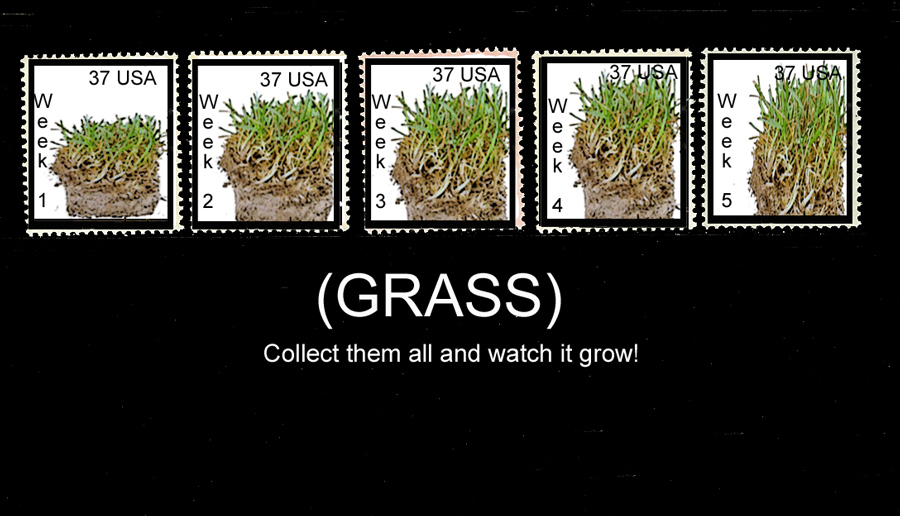 Design Photoshop par ivybabydoll pour DesignCrowd (Community Contests) | Design #8997732