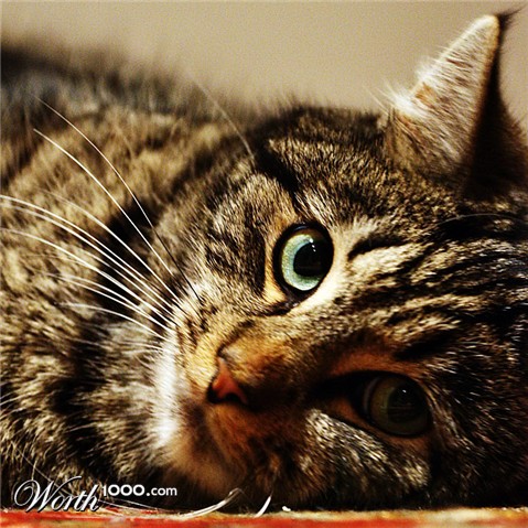 Photography by Anabole