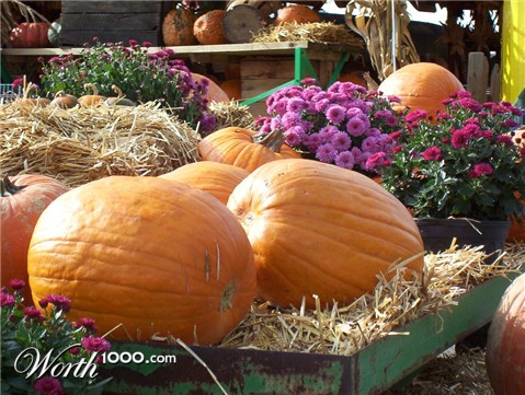 Photography by vanormer