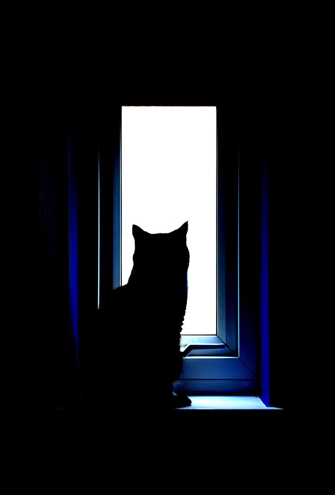 Photography by Craigr1978 for DesignCrowd (Community Contests) | Design #9000112
