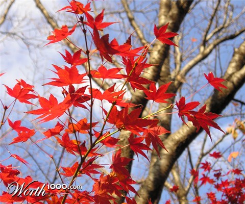 Photography by mur308