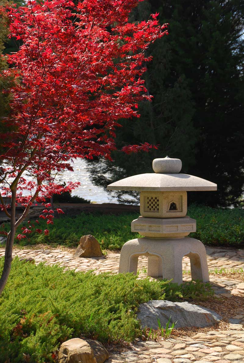 Photography by gymp93 for DesignCrowd (Community Contests) | Design #8999056