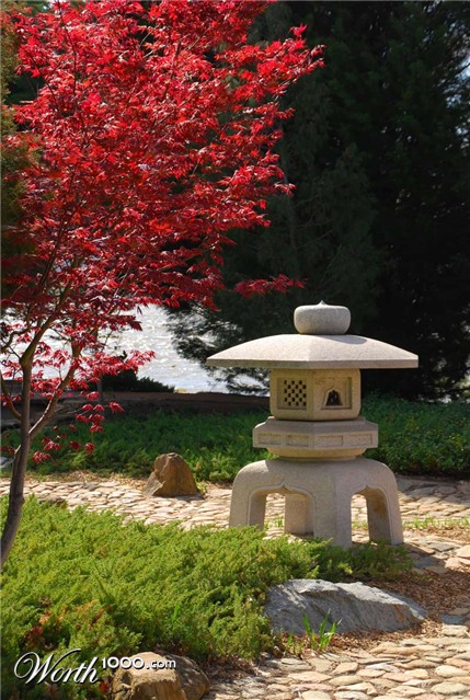 Photography by gymp93