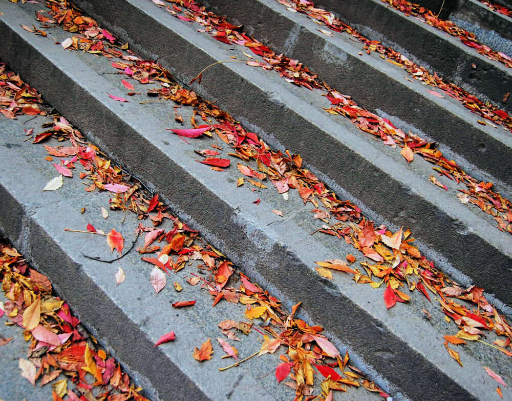 Photography by NatashaP for DesignCrowd (Community Contests) | Design #8999118