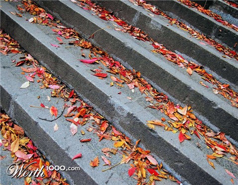 Photography by NatashaP