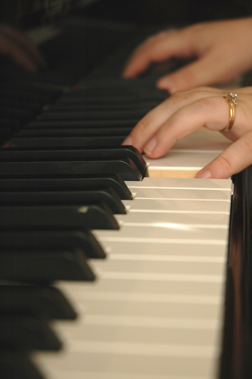 Photography by cameronsangel for DesignCrowd (Community Contests) | Design #9003418