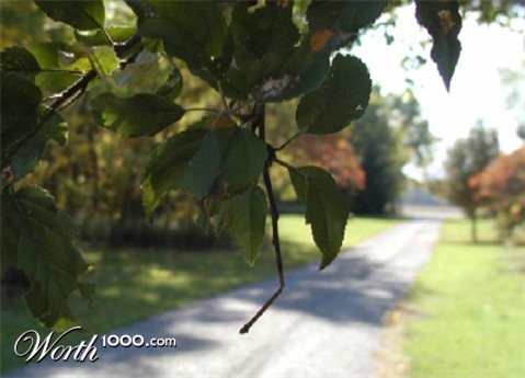 Photography by MDesign