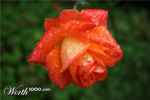 Photography by VeeZee