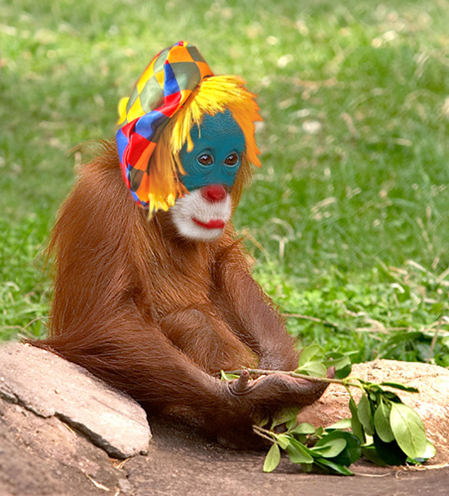 Photoshop Design by damirspanja for DesignCrowd (Community Contests) | Design #8997630