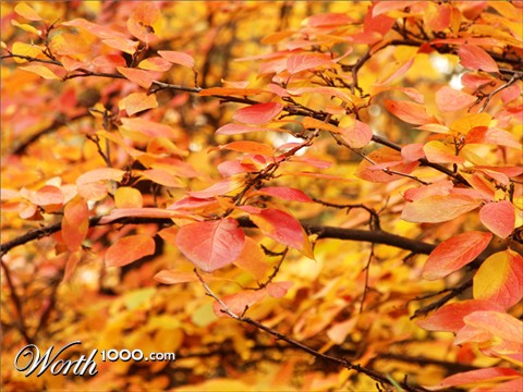 Photography by crattay21cuc