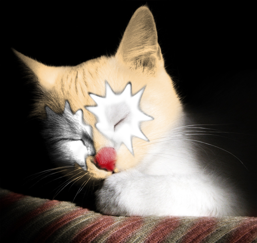 Photoshop Design by kizzle for DesignCrowd (Community Contests) | Design #8997640