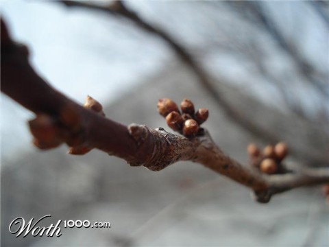 Photography by jman565