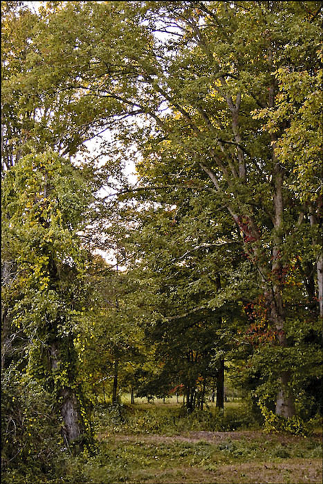 Photography by LaylaBlue for DesignCrowd (Community Contests) | Design #8999192