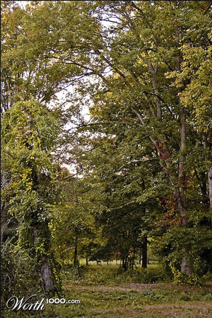 Photography by LaylaBlue