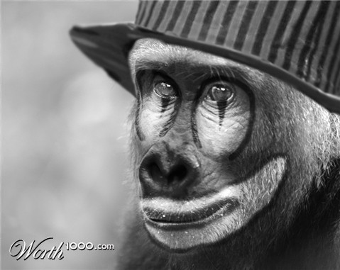 Photoshop Design by H2ricks