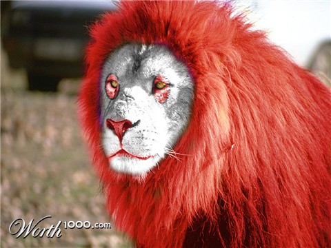 Photoshop Design by editika