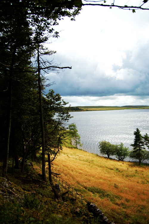 Photographie par thenegativeone pour DesignCrowd (Community Contests) | Design #8995679