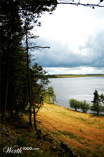 Photography by thenegativeone