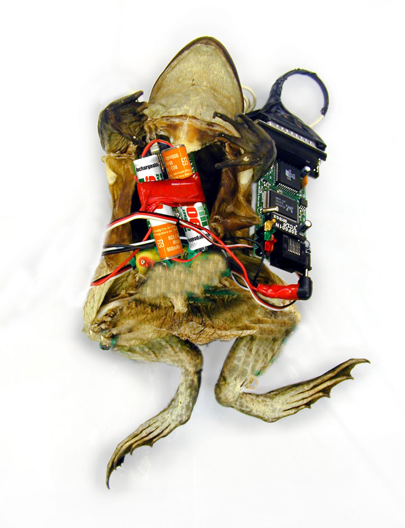 Photoshop Design by rajeshsharma for DesignCrowd (Community Contests) | Design #8997468