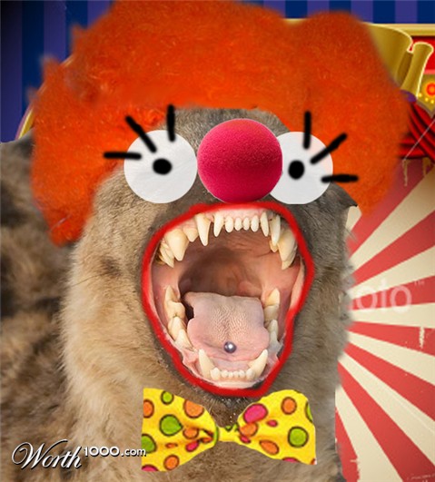Photoshop Design by Taliaaa