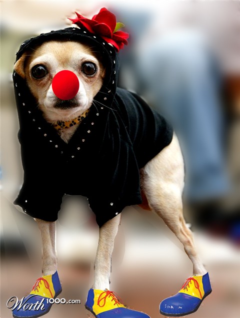 Photoshop Design by carla4189