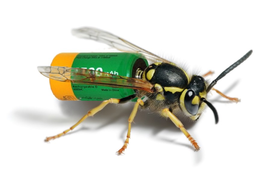 Photoshop Design by Fishwife for DesignCrowd (Community Contests) | Design #8997465