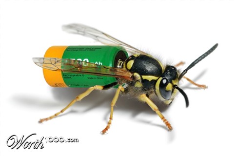 Photoshop Design by Fishwife