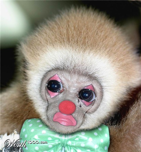 Photoshop Design by zynnya