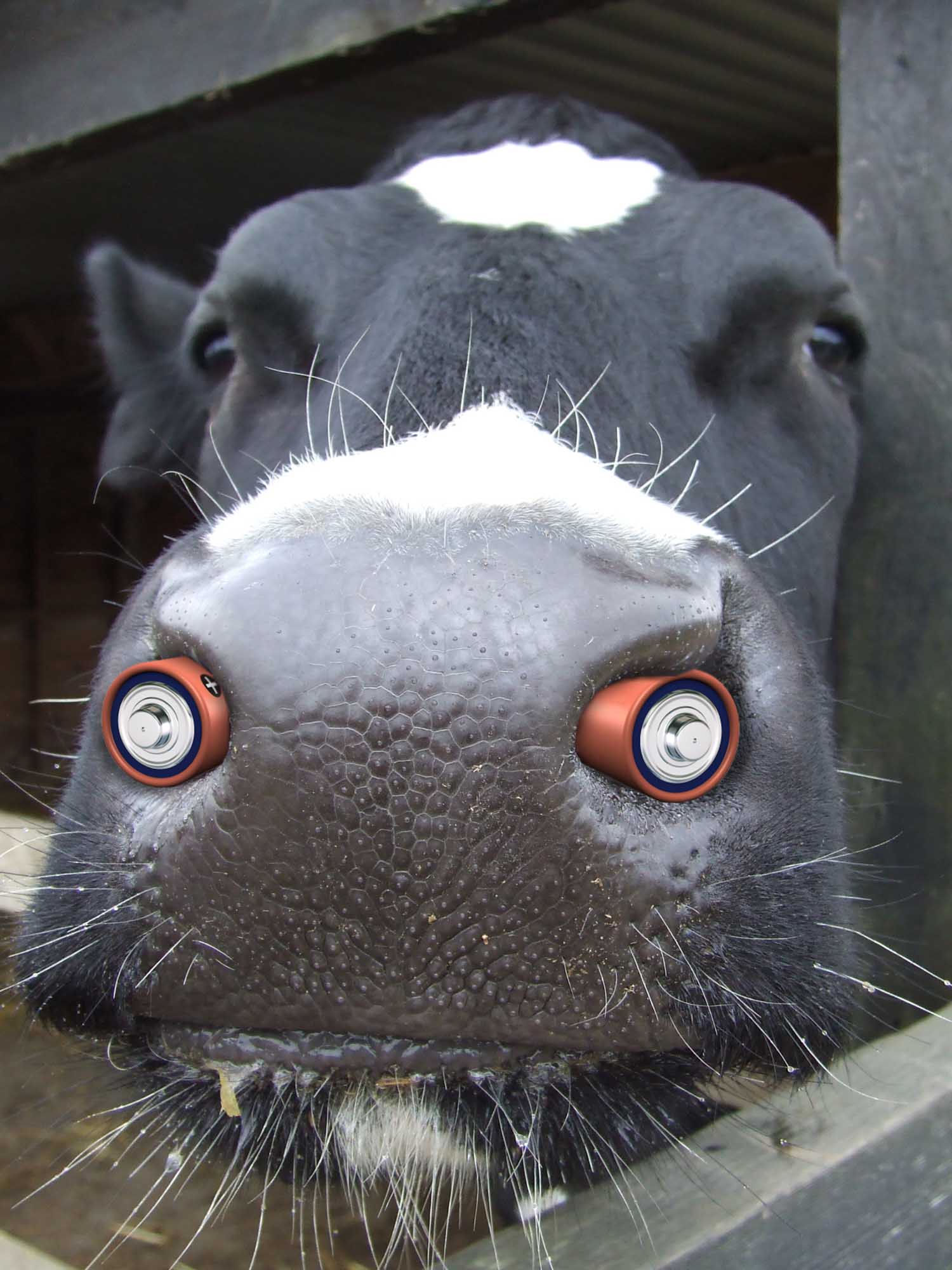 Diseño de Photoshop por Sankrah para DesignCrowd (Community Contests) | Diseño #8997472