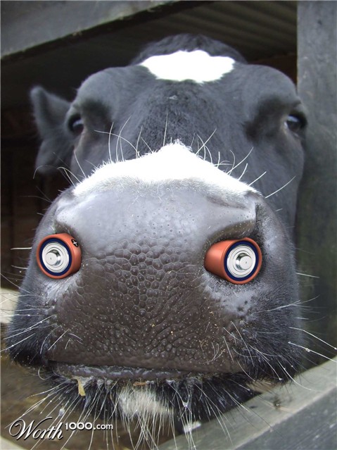 Photoshop Design by Sankrah