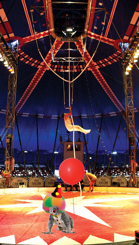 Photoshop Design by vykkdraygo for DesignCrowd (Community Contests) | Design #8997758