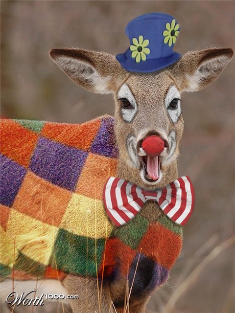 Photoshop Design by Bejeezus