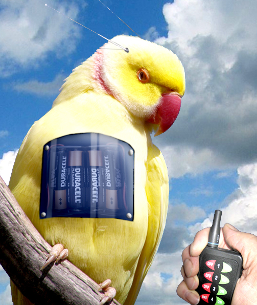 Design Photoshop par janhus pour DesignCrowd (Community Contests) | Design #8997499