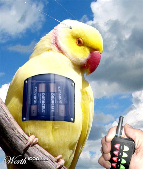 Photoshop Design by janhus