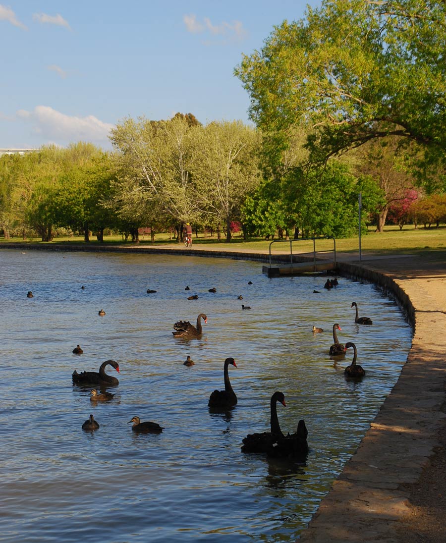 Photography by gymp93 for DesignCrowd (Community Contests) | Design #9004206