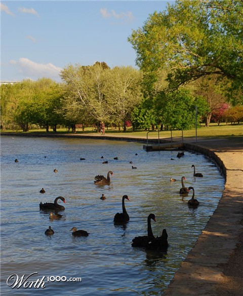 Photography by gymp93