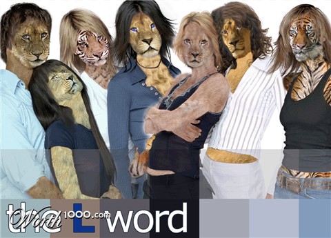 Photoshop Design by didiblum