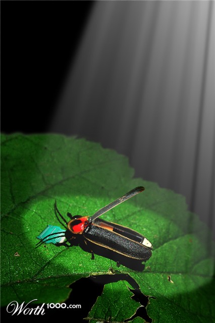 Photoshop Design by takahe