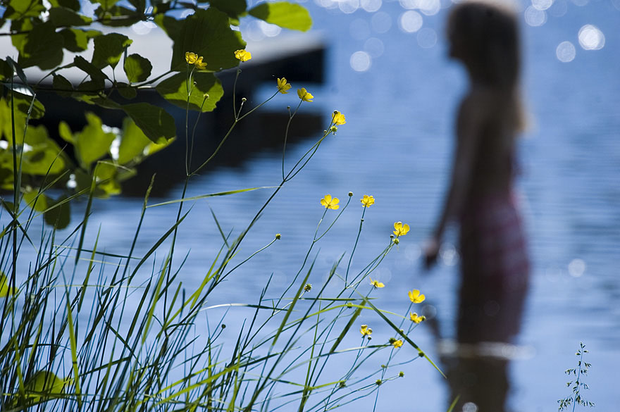 Photography by Reconban for DesignCrowd (Community Contests) | Design #9003443