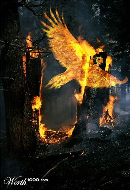Photoshop Design by carlosnumbertwo