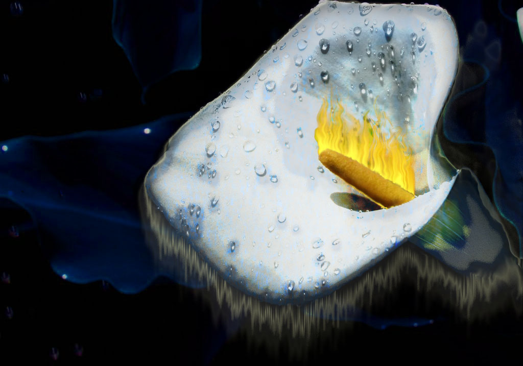 Photoshop Design by zagaia for DesignCrowd (Community Contests) | Design #9000230