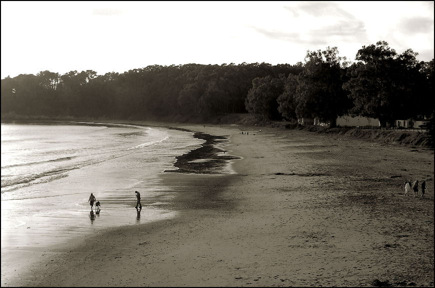 Fotografía por tlovesd para DesignCrowd (Community Contests) | Diseño #8995761