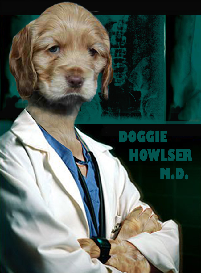 Design Photoshop par baberuthmd pour DesignCrowd (Community Contests) | Design #8998381