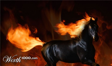 Photoshop Design by Qofcheez