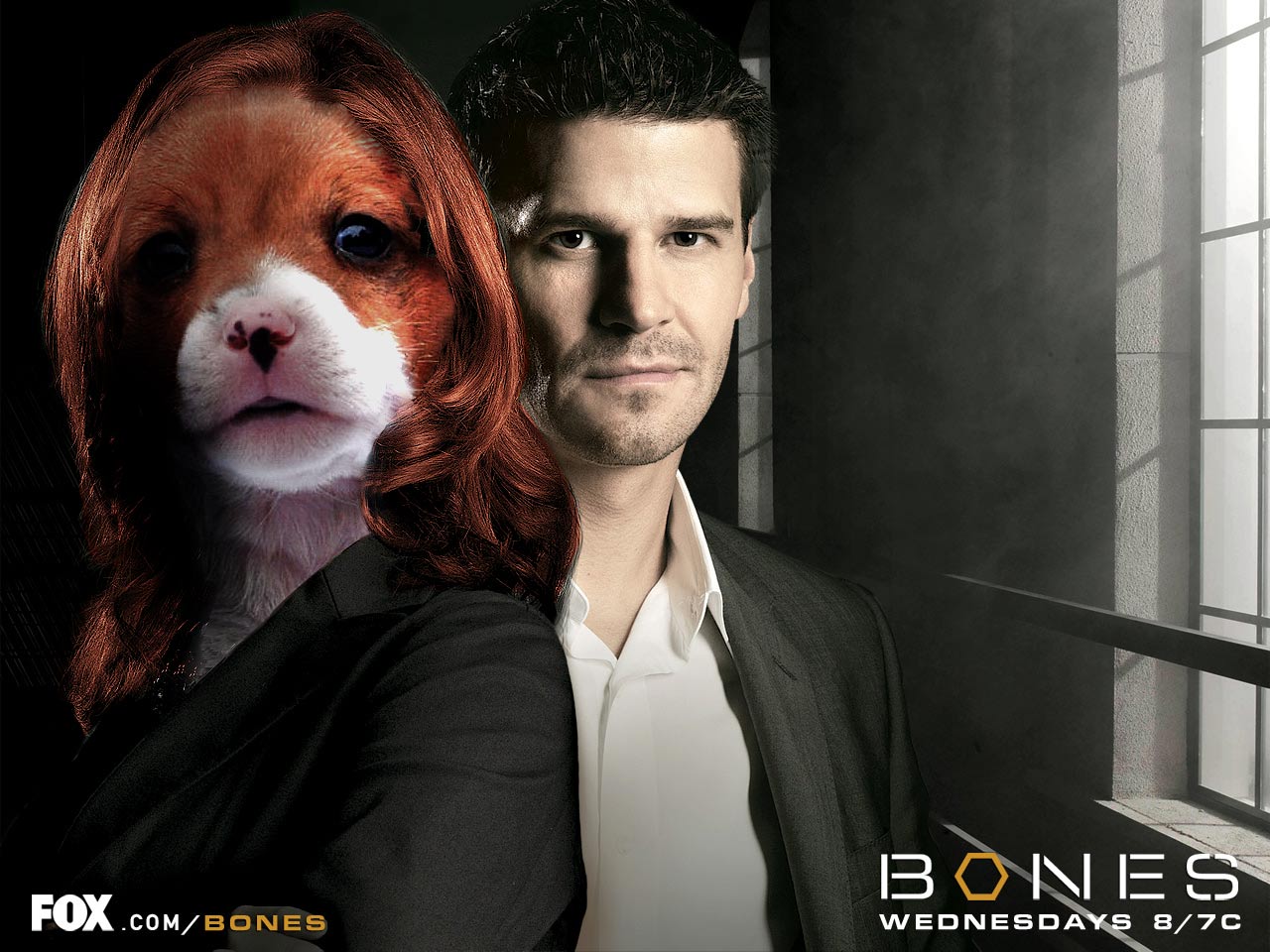 Photoshop-Design von Shyrath für DesignCrowd (Community Contests) | Design #8998411