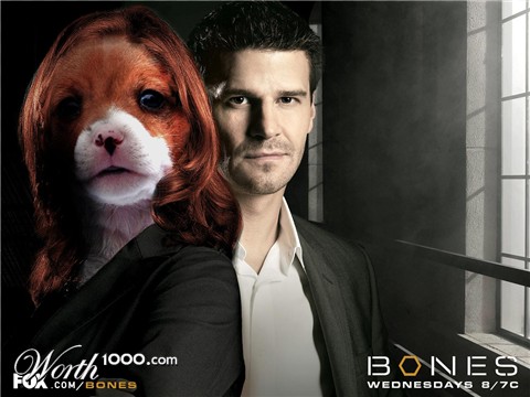 Photoshop Design by Shyrath